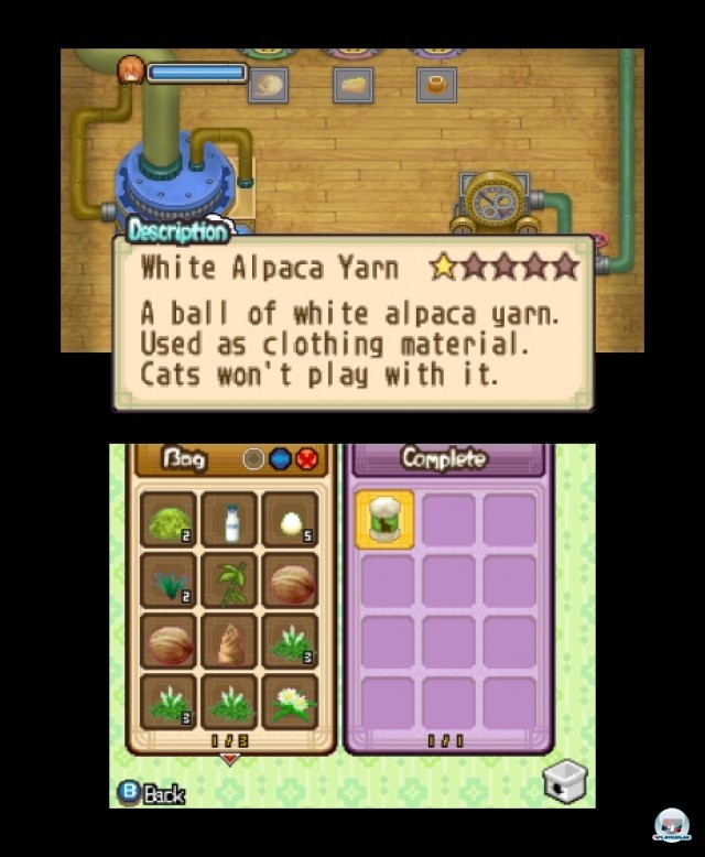 Screenshot - Harvest Moon: The Tale of Two Towns (3DS) 2232297
