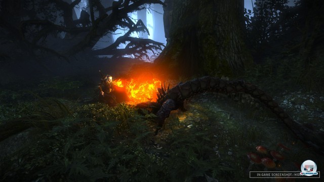 Screenshot - The Witcher 2: Assassin of Kings (PC) 2217102