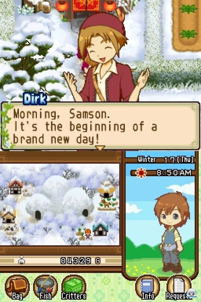 Screenshot - Harvest Moon: The Tale of Two Towns (NDS) 2231978