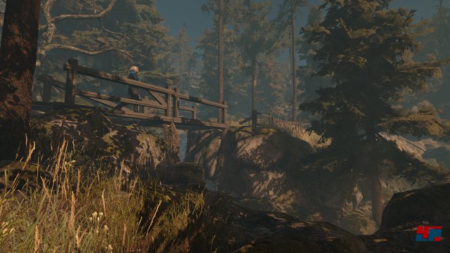 Screenshot - Through the Woods (PC) 92529636