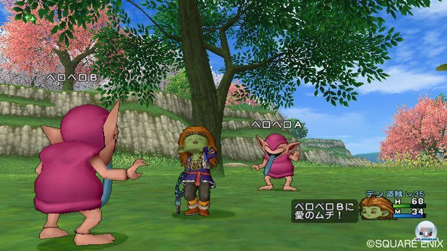 Screenshot - Dragon Quest X Online (Wii) 2302057