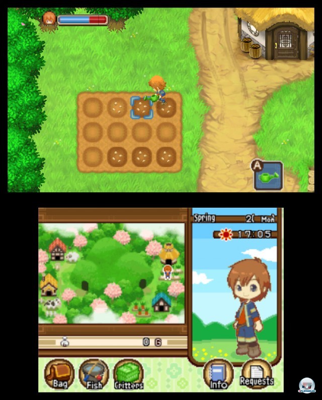 Screenshot - Harvest Moon: The Tale of Two Towns (3DS) 2232119