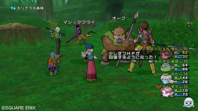 Screenshot - Dragon Quest X Online (Wii) 2295657