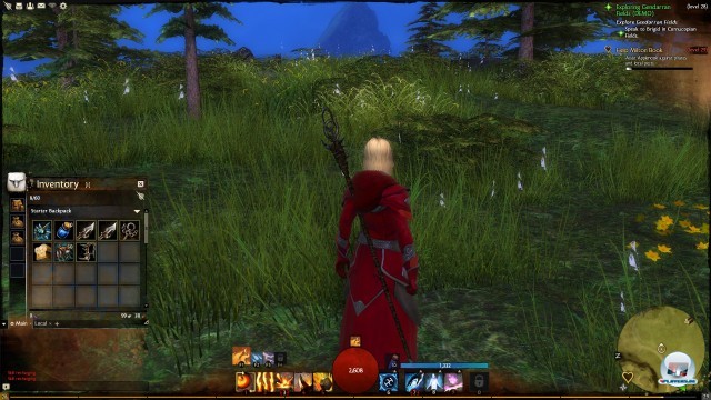 Screenshot - Guild Wars 2 (PC) 2236404