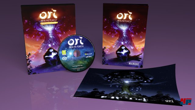 Screenshot - Ori and the Blind Forest (PC) 92526057
