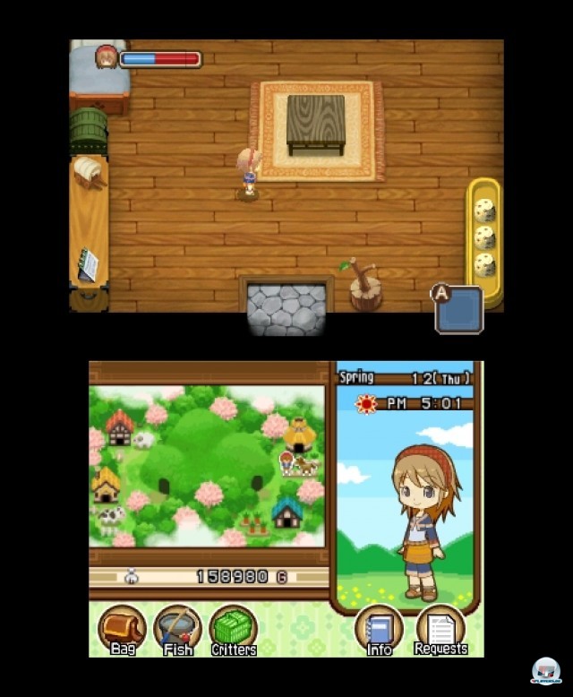 Screenshot - Harvest Moon: The Tale of Two Towns (3DS) 2232202