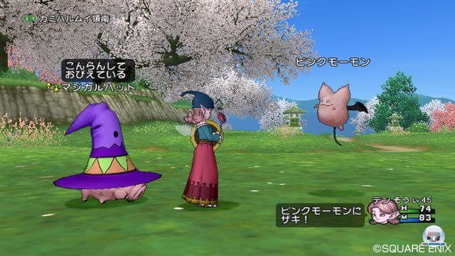 Screenshot - Dragon Quest X Online (Wii) 2295637