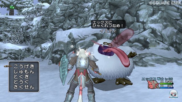 Screenshot - Dragon Quest X Online (Wii) 2321217