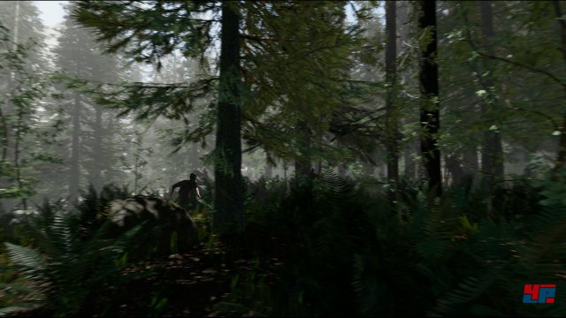 Screenshot - The Forest (PC) 92479335