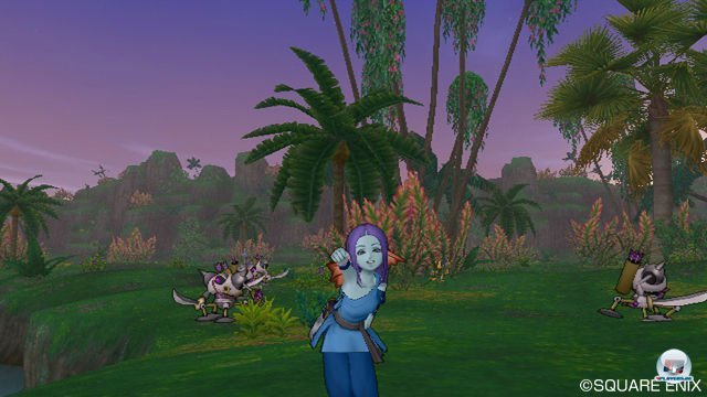 Screenshot - Dragon Quest X Online (Wii) 2289957
