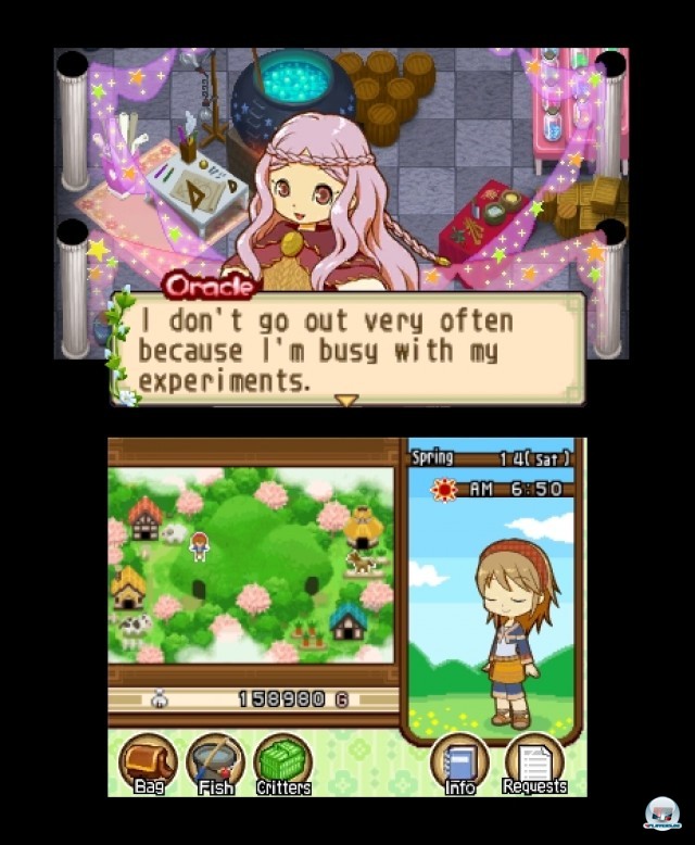 Screenshot - Harvest Moon: The Tale of Two Towns (3DS) 2232113