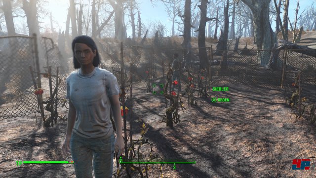 Screenshot - Fallout 4 (PlayStation4) 92516231