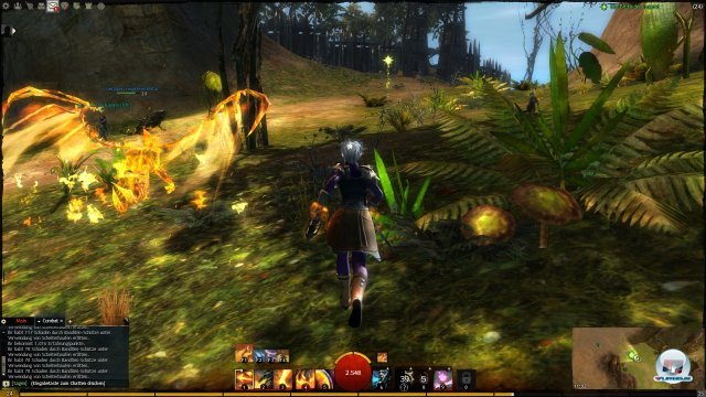 Screenshot - Guild Wars 2 (PC) 2396342