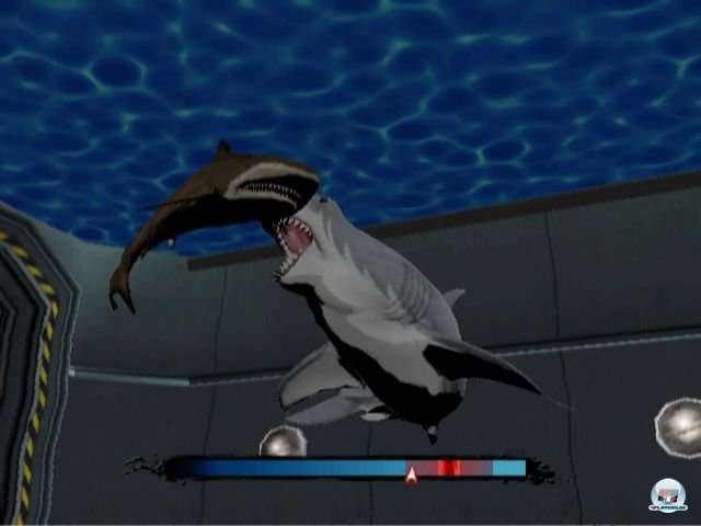 Screenshot - Jaws: Ultimate Predator (Wii) 2295067