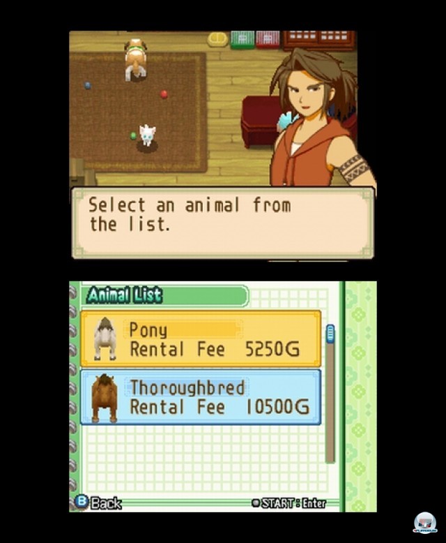 Screenshot - Harvest Moon: The Tale of Two Towns (NDS) 2232087
