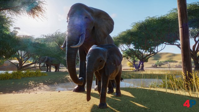 Screenshot - Planet Zoo (PC) 92589894