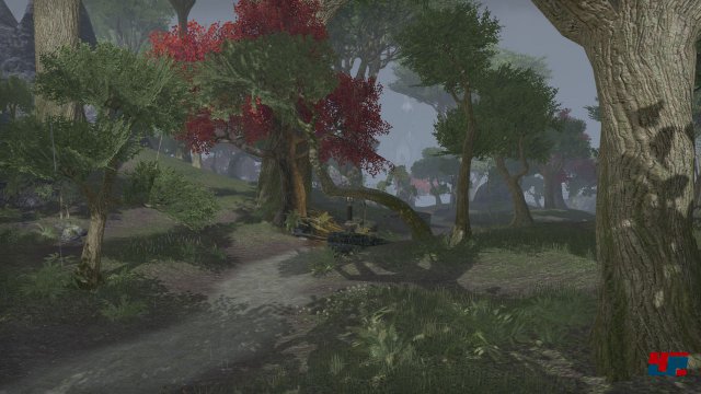 Screenshot - The Elder Scrolls Online (PC) 92479907