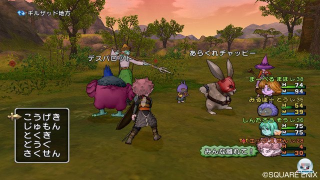 Screenshot - Dragon Quest X Online (Wii) 2295697