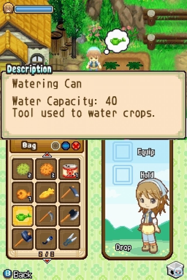 Screenshot - Harvest Moon: The Tale of Two Towns (NDS) 2231987