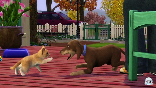 Screenshot - Die Sims 3: Einfach tierisch (360) 2227107