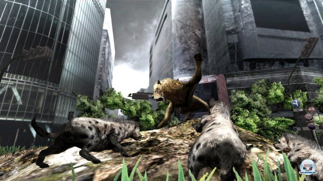 Screenshot - Tokyo Jungle (PlayStation3) 2358512