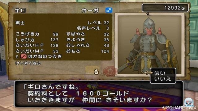 Screenshot - Dragon Quest X Online (Wii) 2282127