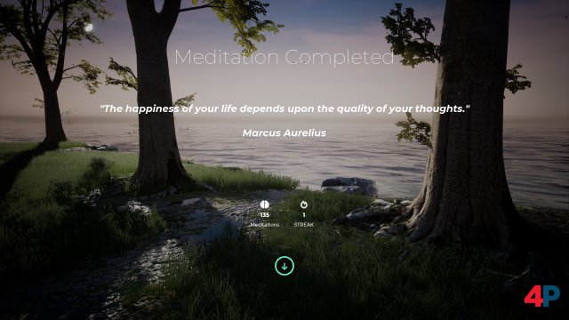 Screenshot - PLAYNE: The Meditation Game (PC) 92612497