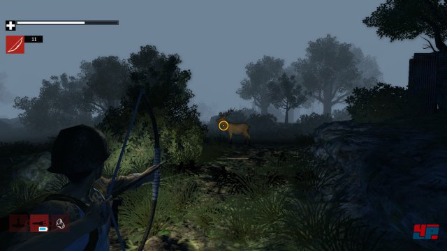 Screenshot - How to Survive (PC)