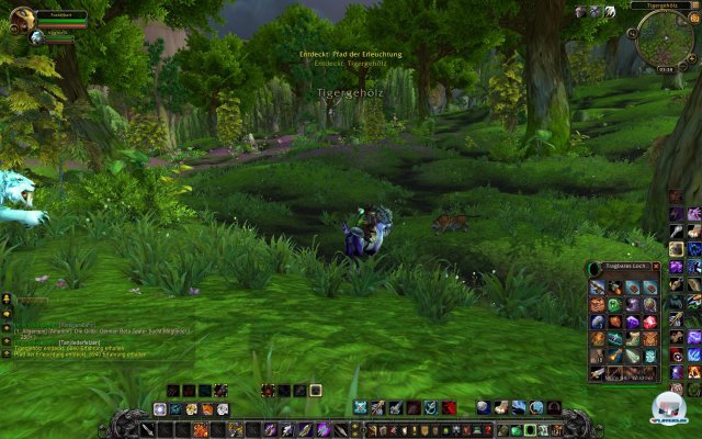 Screenshot - World of WarCraft: Mists of Pandaria (PC) 2334087
