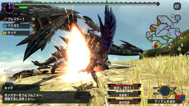Screenshot - Monster Hunter XX (Switch) 92548368