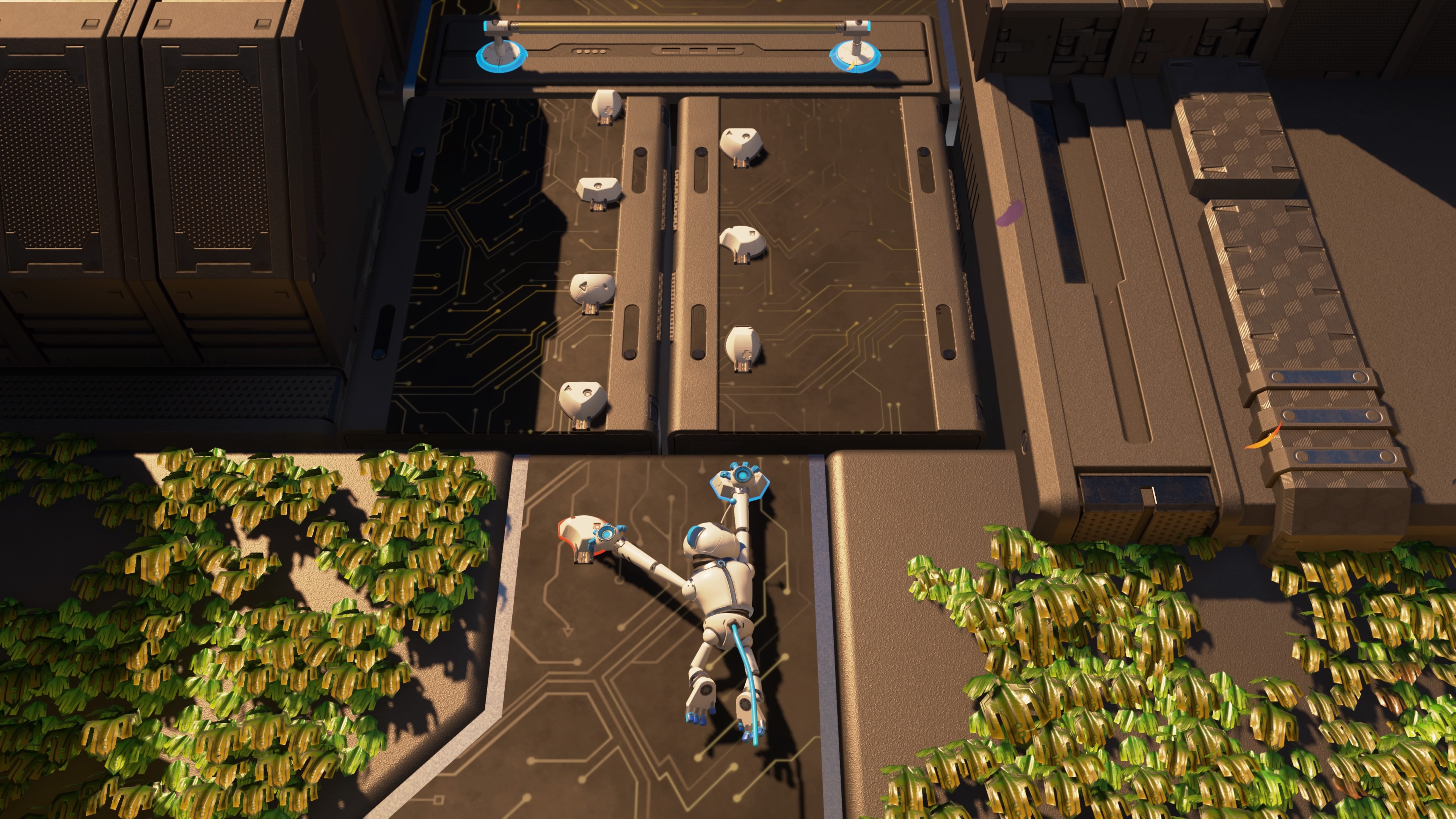 biomutant coop