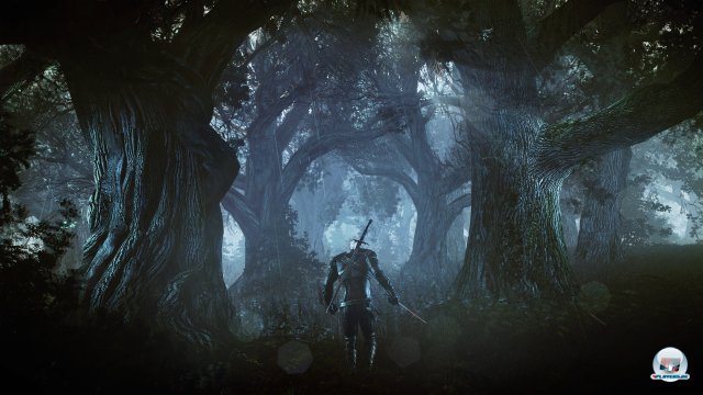 Screenshot - The Witcher 3: Wild Hunt (PC) 92467032