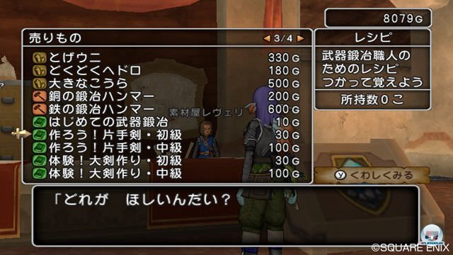 Screenshot - Dragon Quest X Online (Wii) 2335552