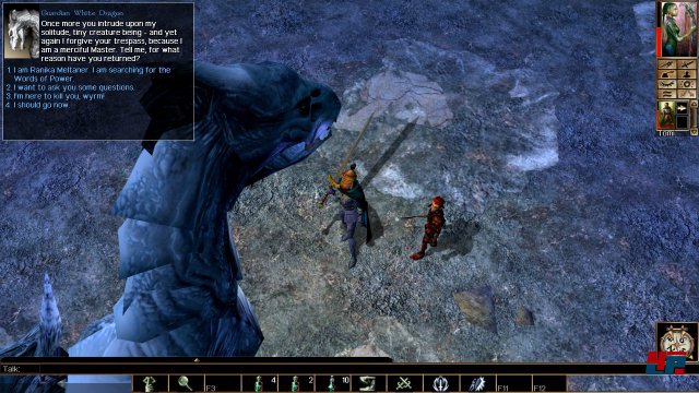 Screenshot - Neverwinter Nights: Enhanced Edition (PC) 92555948