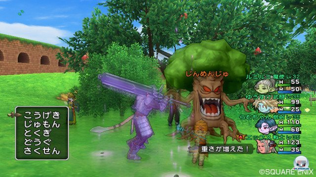 Screenshot - Dragon Quest X Online (Wii) 2368857