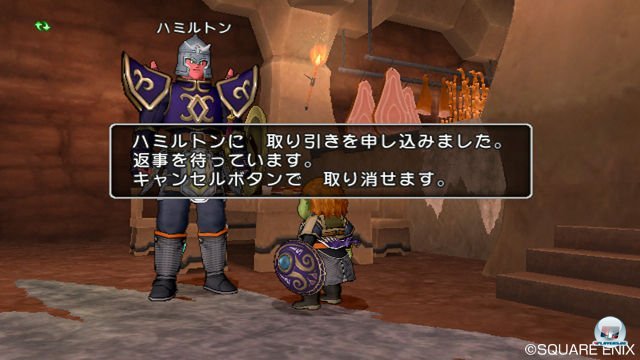 Screenshot - Dragon Quest X Online (Wii) 2300397