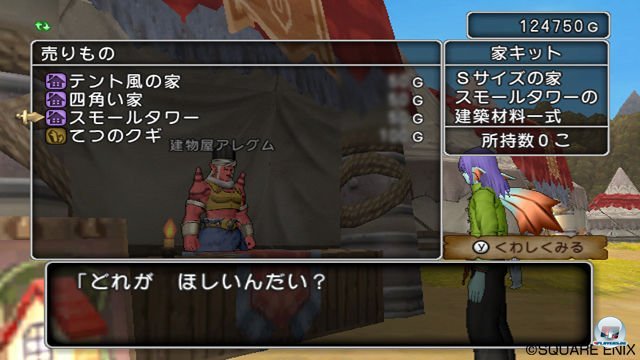 Screenshot - Dragon Quest X Online (Wii) 2335427