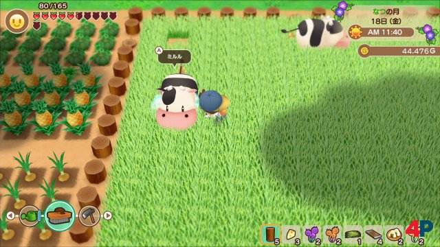 Screenshot - Story of Seasons: Friends of Mineral Town (Switch) 92592000
