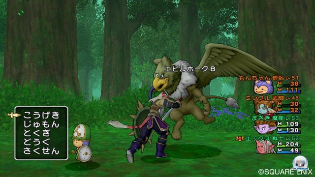 Screenshot - Dragon Quest X Online (Wii) 2303782