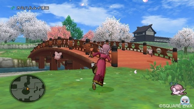 Screenshot - Dragon Quest X Online (Wii) 2372262