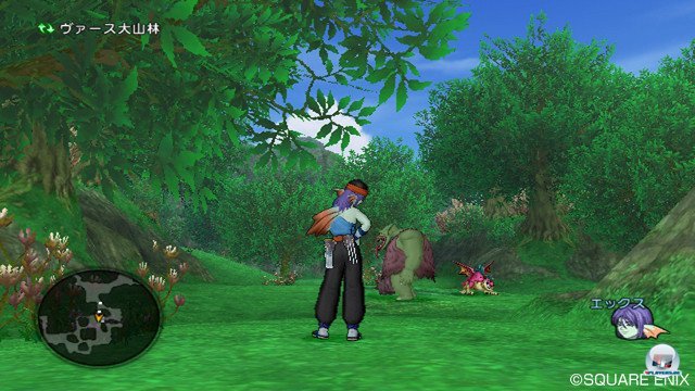 Screenshot - Dragon Quest X Online (Wii) 2365367