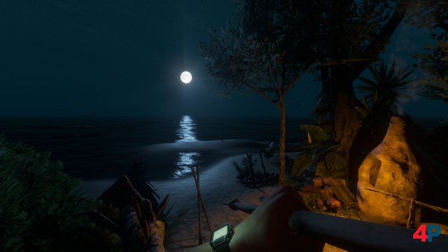 Screenshot - Stranded Deep (PS4)