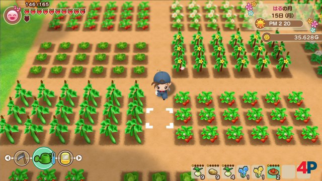 Screenshot - Story of Seasons: Friends of Mineral Town (Switch)
