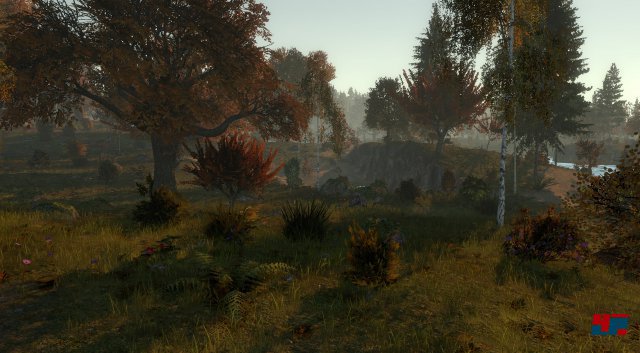 Screenshot - Life is Feudal: Forest Village (PC) 92545686