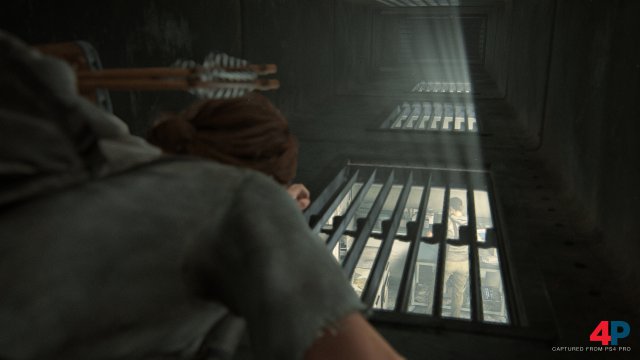 Screenshot - The Last Of Us Part 2 (PS4) 92614397