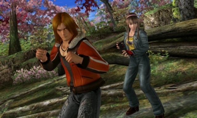 Screenshot - Dead or Alive: Dimensions (NDS) 2224127