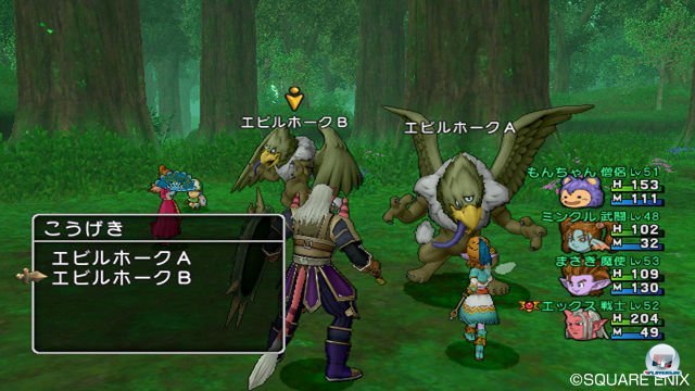 Screenshot - Dragon Quest X Online (Wii) 2303752