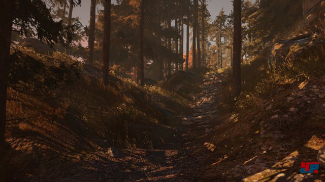 Screenshot - Through the Woods (PC) 92529638