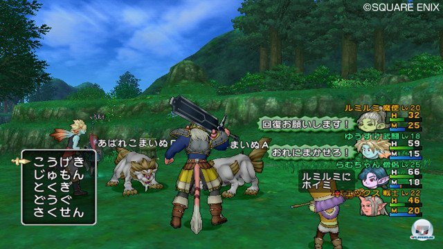 Screenshot - Dragon Quest X Online (Wii) 2368787
