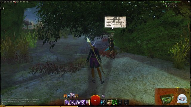 Screenshot - Guild Wars 2 (PC) 2395012